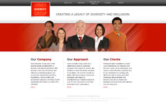 TechStyles USA Website Design Denver Chicago - Jones Diversity Group